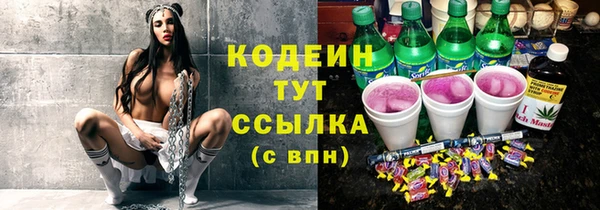 прущий лед Лиски