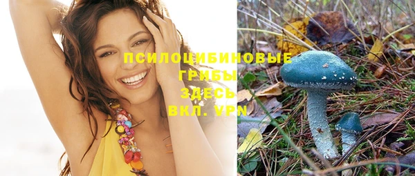 прущий лед Лиски