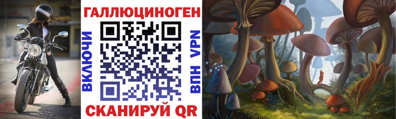 наркота  Майский  Галлюциногенные грибы мицелий 